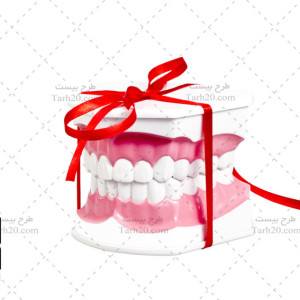 تصویر استوک مدل نمایشی چیدمان دندانها