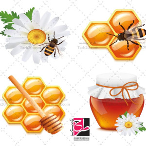 طرح وکتور عسل، زنبور و کندو