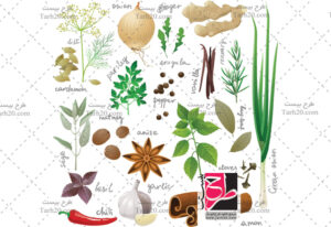 وکتور گیاهان دارویی