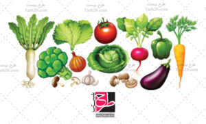 وکتور سبزیجات